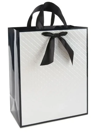 Shopping Paper Bag 1